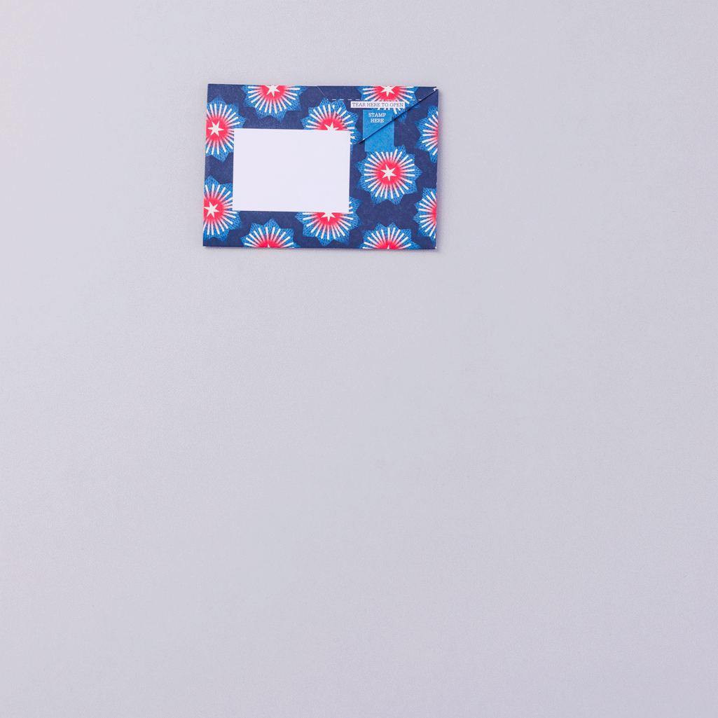Starburst Pigeon - Image 2