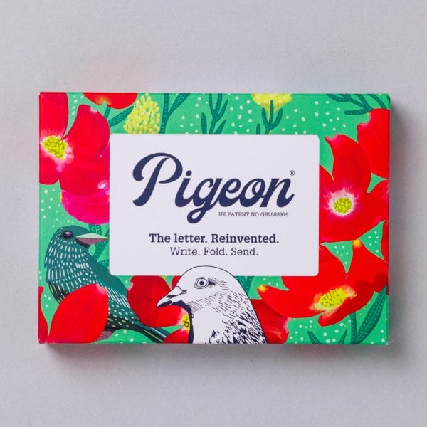 Home Pigeon