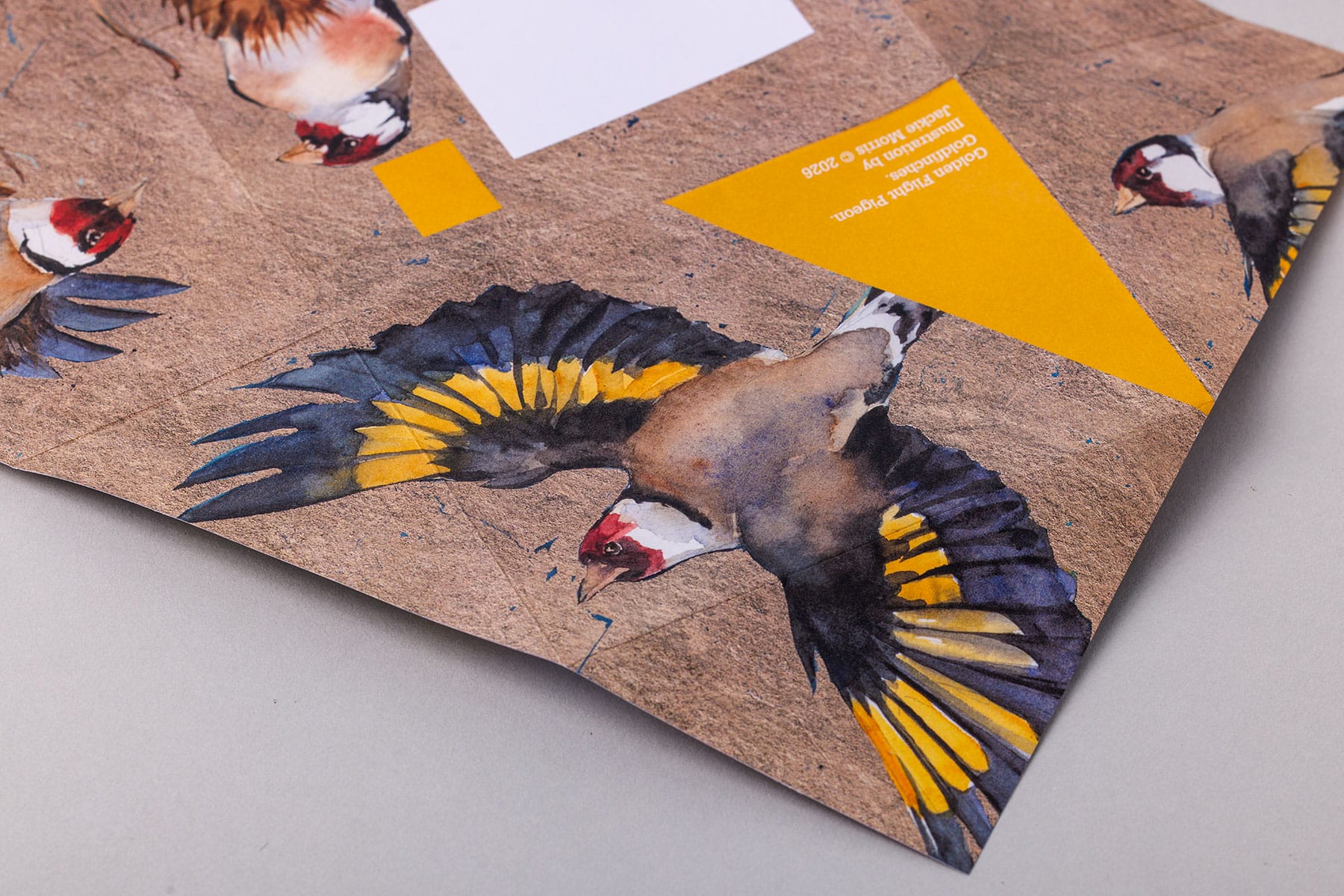 Golden Flight Pigeon - Imagem 8