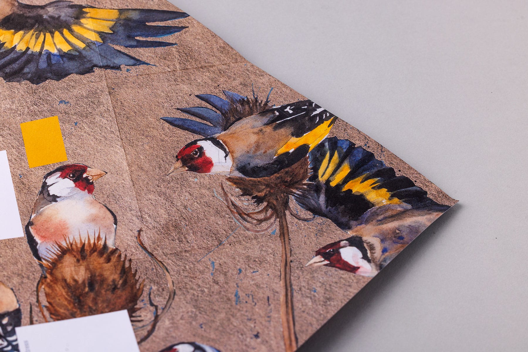 Golden Flight Pigeon - Imagem 7