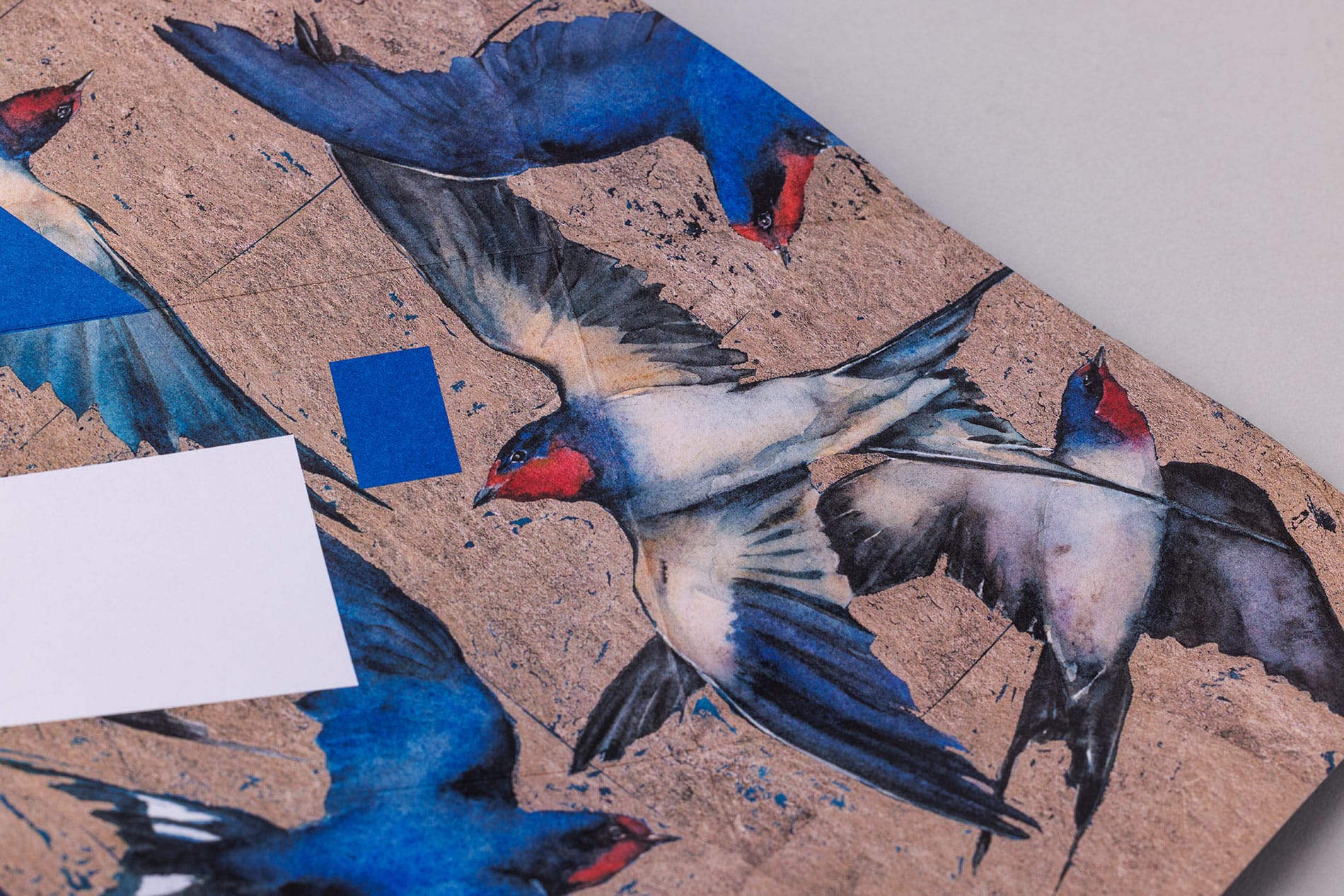 Golden Flight Pigeon - Imagem 10