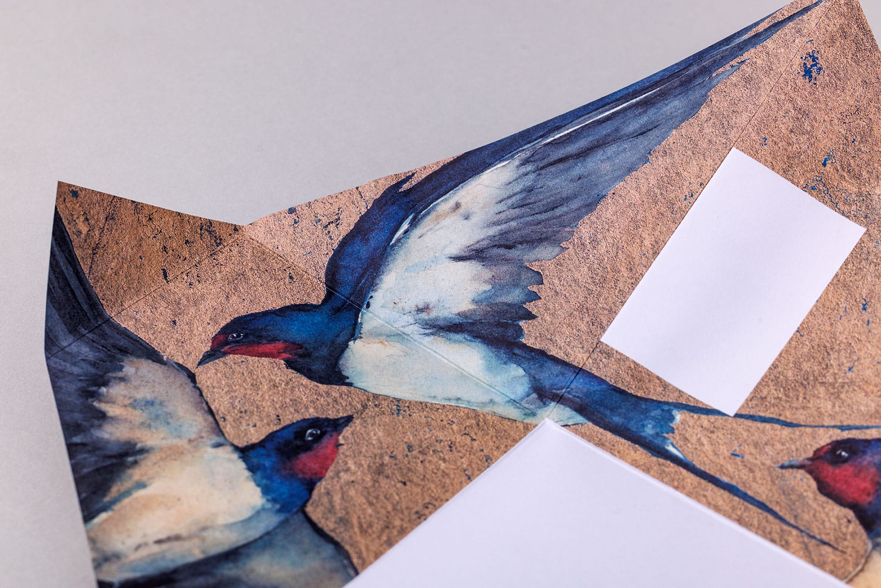 Golden Flight Pigeon - Imagem 9