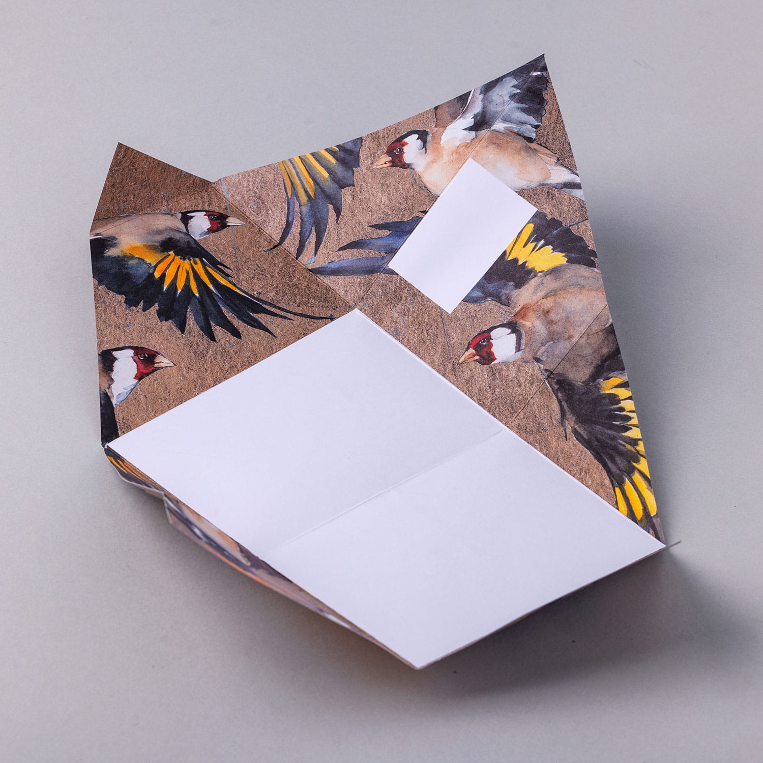 Golden Flight Pigeon - Imagem 5