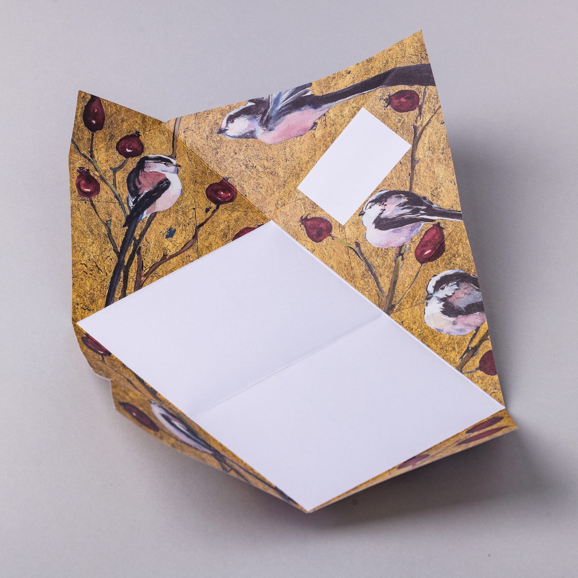 Golden Flight Pigeon - Imagem 3